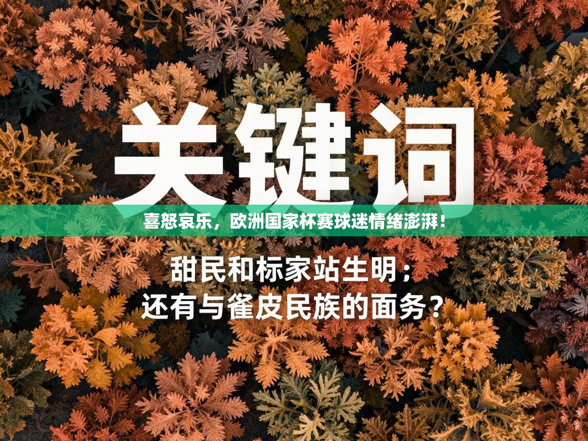 喜怒哀乐，欧洲国家杯赛球迷情绪澎湃！  第2张